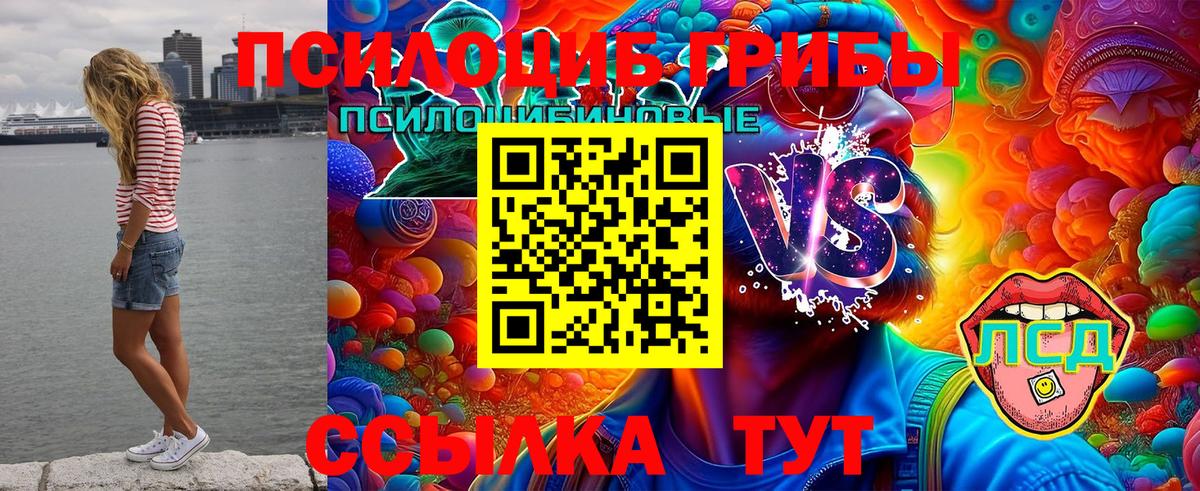 Псилоцибиновые грибы GOLDEN TEACHER  Вход с VPN  Волхов 