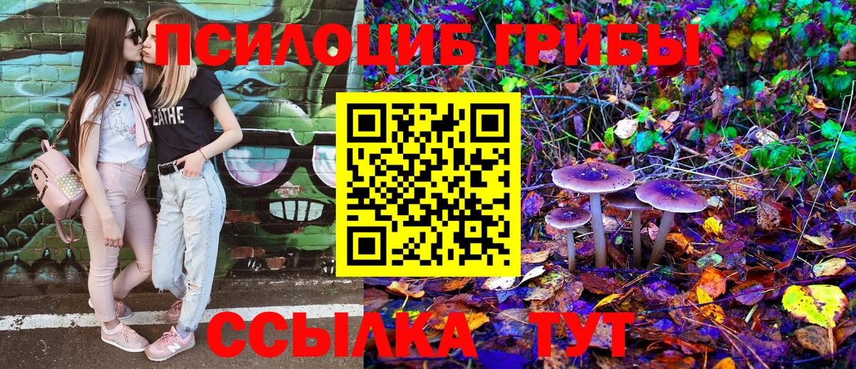 Псилоцибиновые грибы мухоморы Волхов